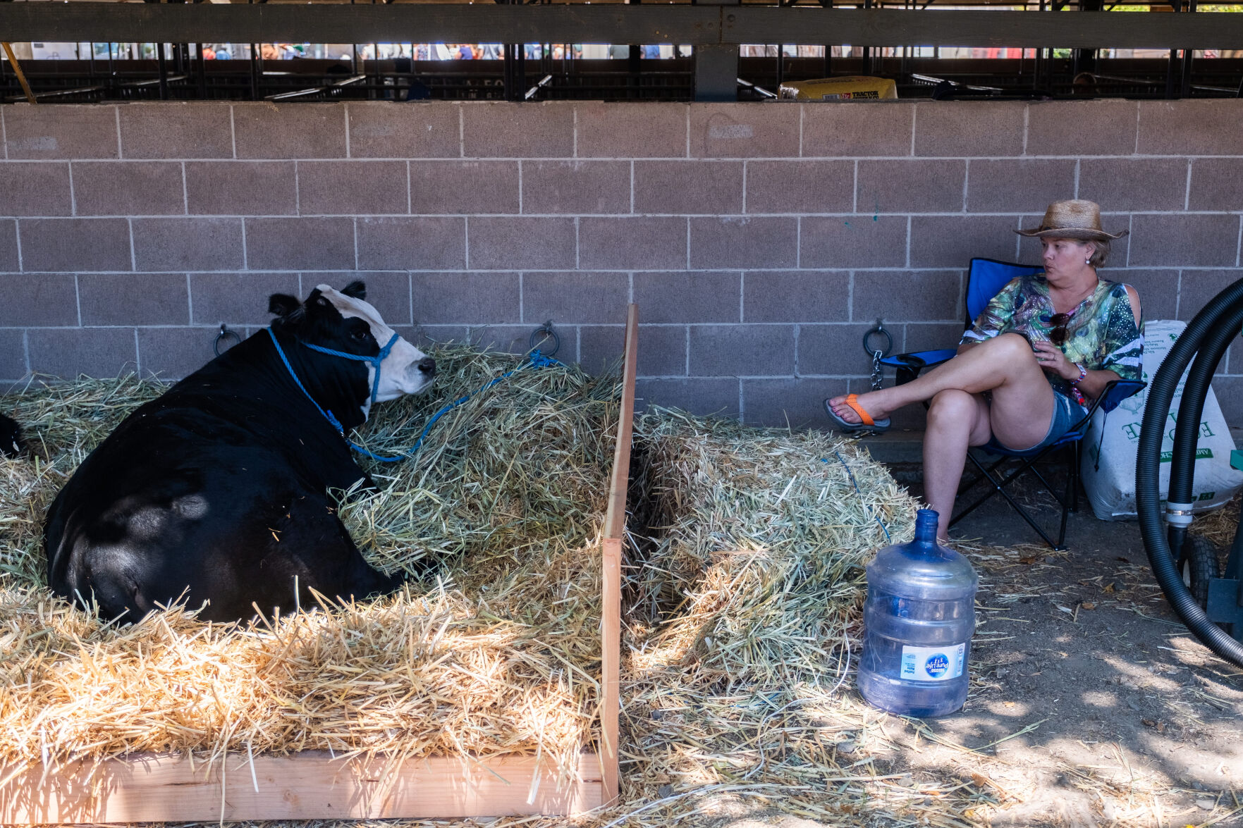 4-H at the Fair